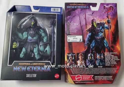 Barbarian skeletor new eternia - barbarian,